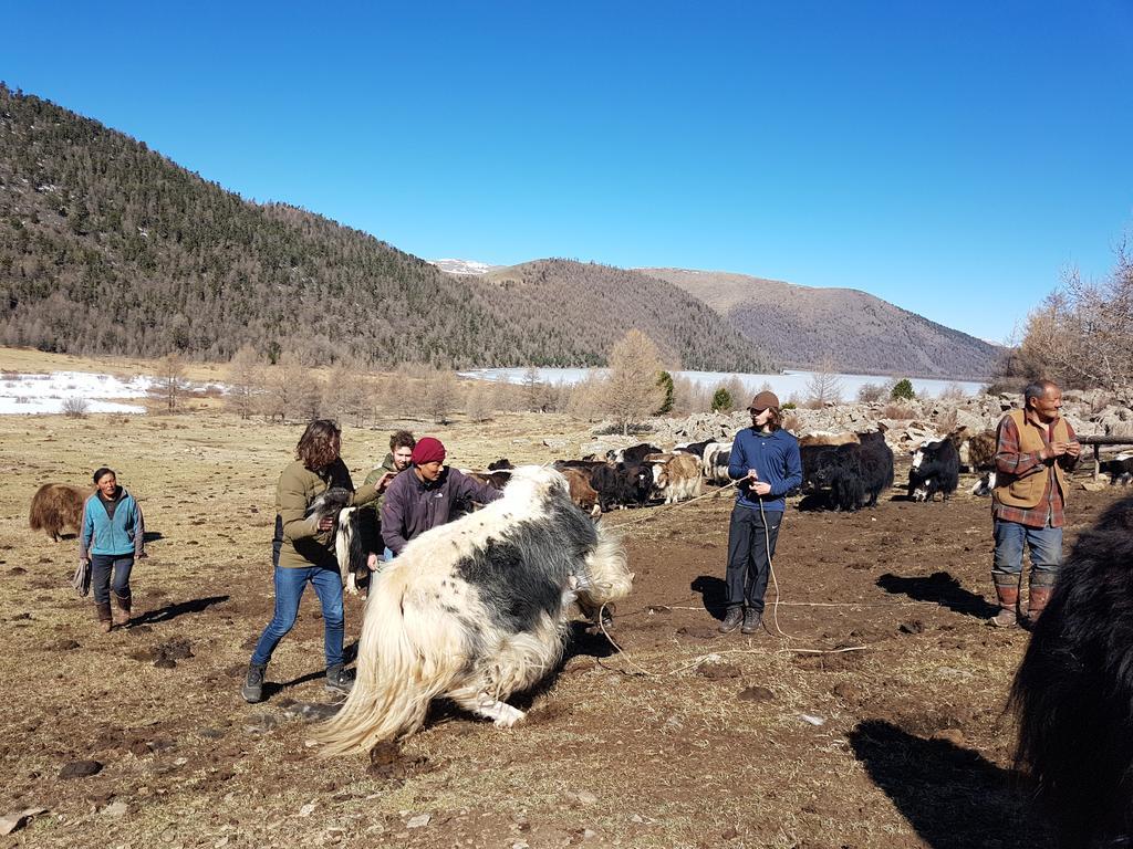 Vast Mongolia Tour & Hostel Уланбатар Екстериор снимка