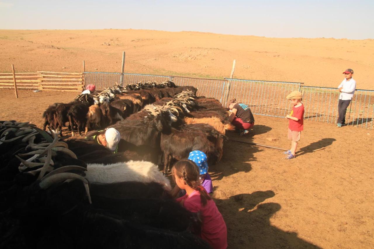 Vast Mongolia Tour & Hostel Уланбатар Екстериор снимка